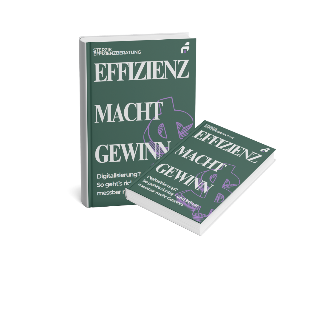 E-Book Cover: Effizienz macht Gewinn